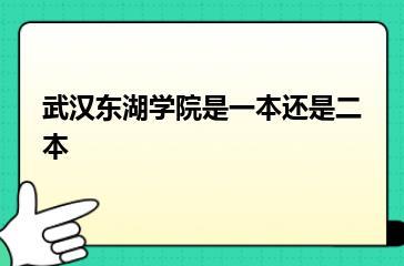 武汉东湖学院是一本还是二本？