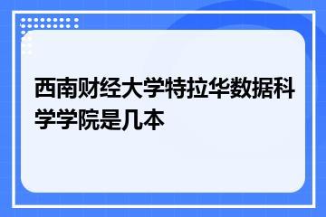 西南财经大学特拉华数据科学学院是几本？