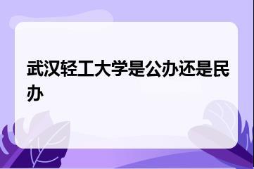 武汉轻工大学是公办还是民办？