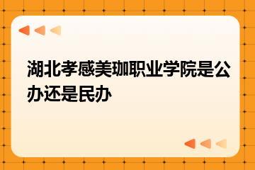 湖北孝感美珈职业学院是公办还是民办？