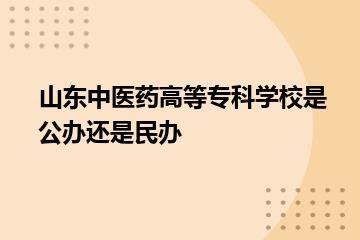 山东中医药高等专科学校是公办还是民办？