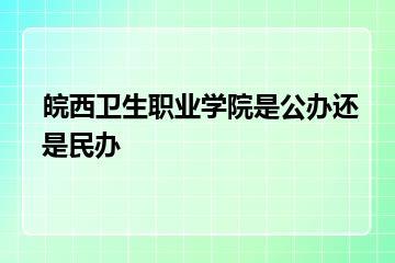 皖西卫生职业学院是公办还是民办？