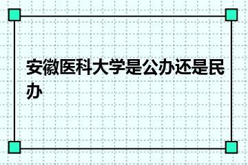 安徽医科大学是公办还是民办？