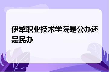 伊犁职业技术学院是公办还是民办？