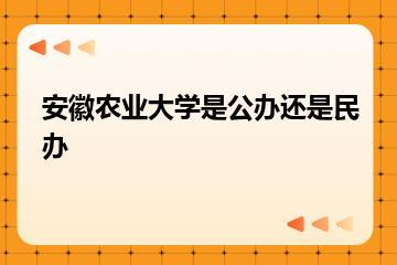 安徽农业大学是公办还是民办？