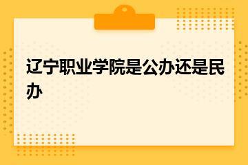 辽宁职业学院是公办还是民办？