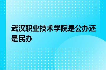 武汉职业技术学院是公办还是民办？