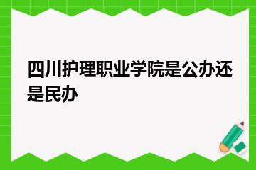 四川护理职业学院是公办还是民办？