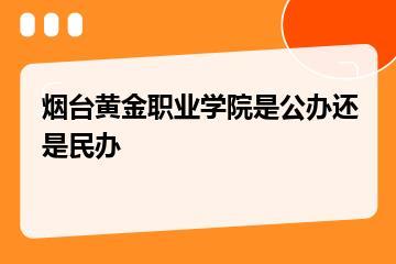 烟台黄金职业学院是公办还是民办？
