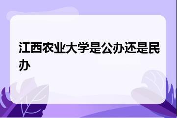 江西农业大学是公办还是民办？