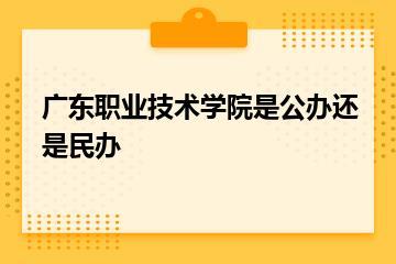 广东职业技术学院是公办还是民办？