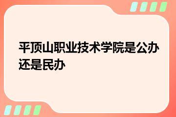 平顶山职业技术学院是公办还是民办？