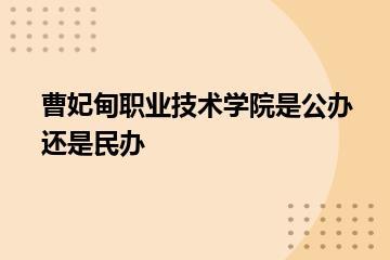 曹妃甸职业技术学院是公办还是民办？