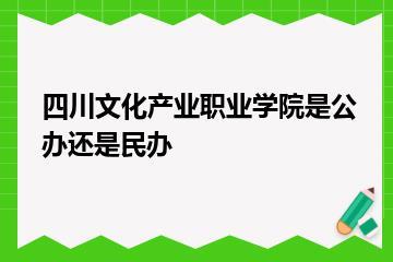 四川文化产业职业学院是公办还是民办？