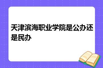天津滨海职业学院是公办还是民办？