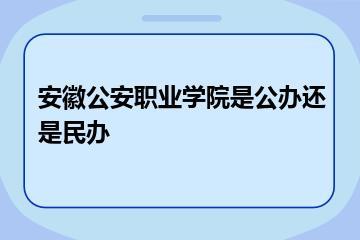 安徽公安职业学院是公办还是民办？