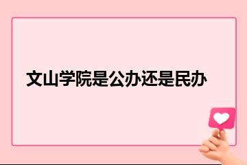 文山学院是公办还是民办？