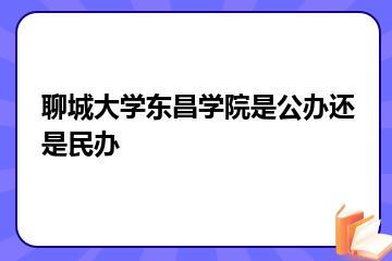 聊城大学东昌学院是公办还是民办？
