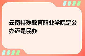 云南特殊教育职业学院是公办还是民办？