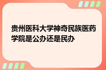 贵州医科大学神奇民族医药学院是公办还是民办？