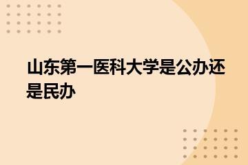 山东第一医科大学是公办还是民办？