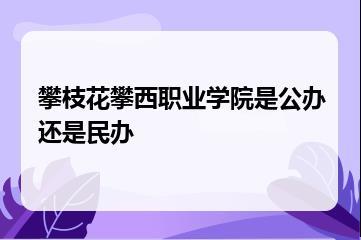 攀枝花攀西职业学院是公办还是民办？