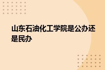 山东石油化工学院是公办还是民办？