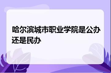 哈尔滨城市职业学院是公办还是民办？