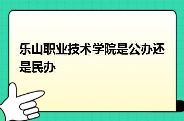 乐山职业技术学院是公办还是民办？