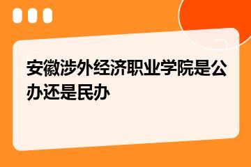 安徽涉外经济职业学院是公办还是民办？