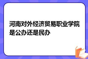 河南对外经济贸易职业学院是公办还是民办？