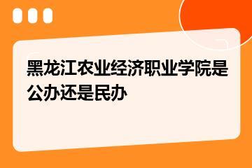 黑龙江农业经济职业学院是公办还是民办？