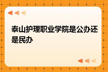 泰山护理职业学院是公办还是民办？