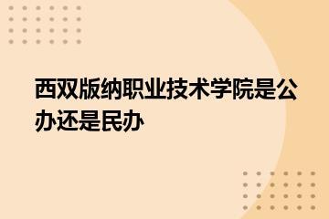 西双版纳职业技术学院是公办还是民办？
