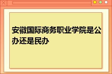 安徽国际商务职业学院是公办还是民办？