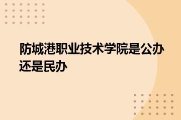 防城港职业技术学院是公办还是民办？