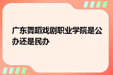 广东舞蹈戏剧职业学院是公办还是民办？