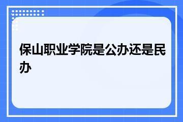 保山职业学院是公办还是民办？