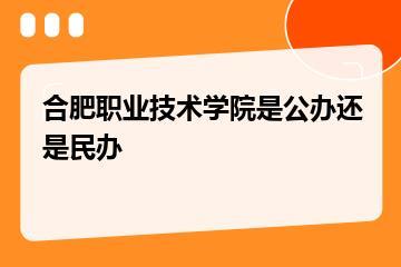 合肥职业技术学院是公办还是民办？