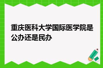 重庆医科大学国际医学院是公办还是民办？