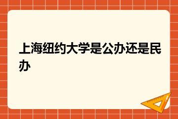 上海纽约大学是公办还是民办？