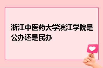 浙江中医药大学滨江学院是公办还是民办？