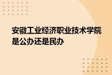 安徽工业经济职业技术学院是公办还是民办？