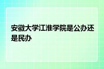 安徽大学江淮学院是公办还是民办？