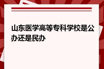 山东医学高等专科学校是公办还是民办？