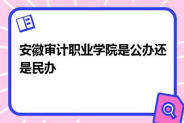 安徽审计职业学院是公办还是民办？