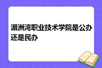 湄洲湾职业技术学院是公办还是民办？