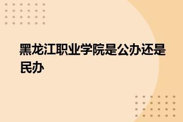 黑龙江职业学院是公办还是民办？