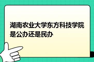 湖南农业大学东方科技学院是公办还是民办？