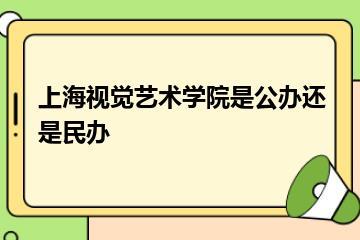 上海视觉艺术学院是公办还是民办？